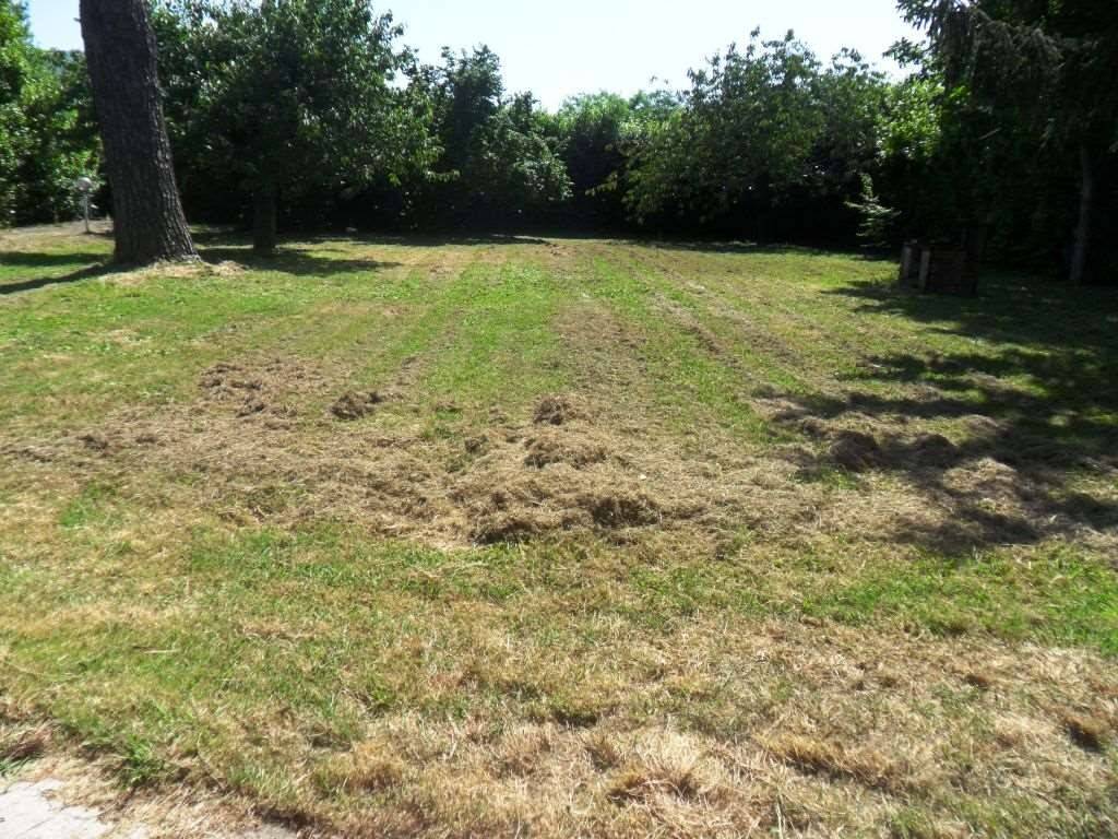 Villa a Sarzana - Foto 2