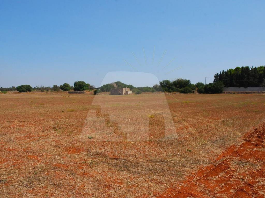 Terreno a Alessano in Strada Comunale Alessano Specchia - Foto 3