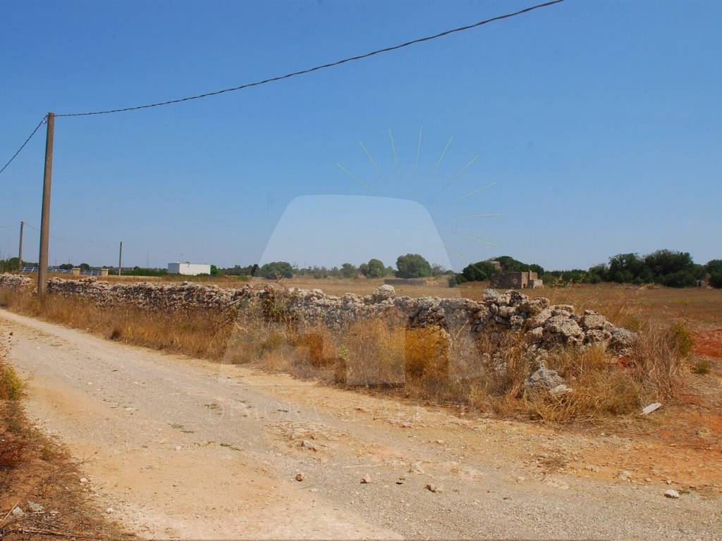 Terreno a Alessano in Strada Comunale Alessano Specchia - Foto 4