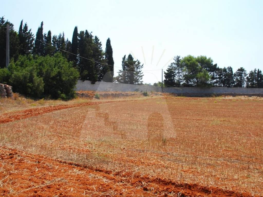Terreno a Alessano in Strada Comunale Alessano Specchia - Foto 5