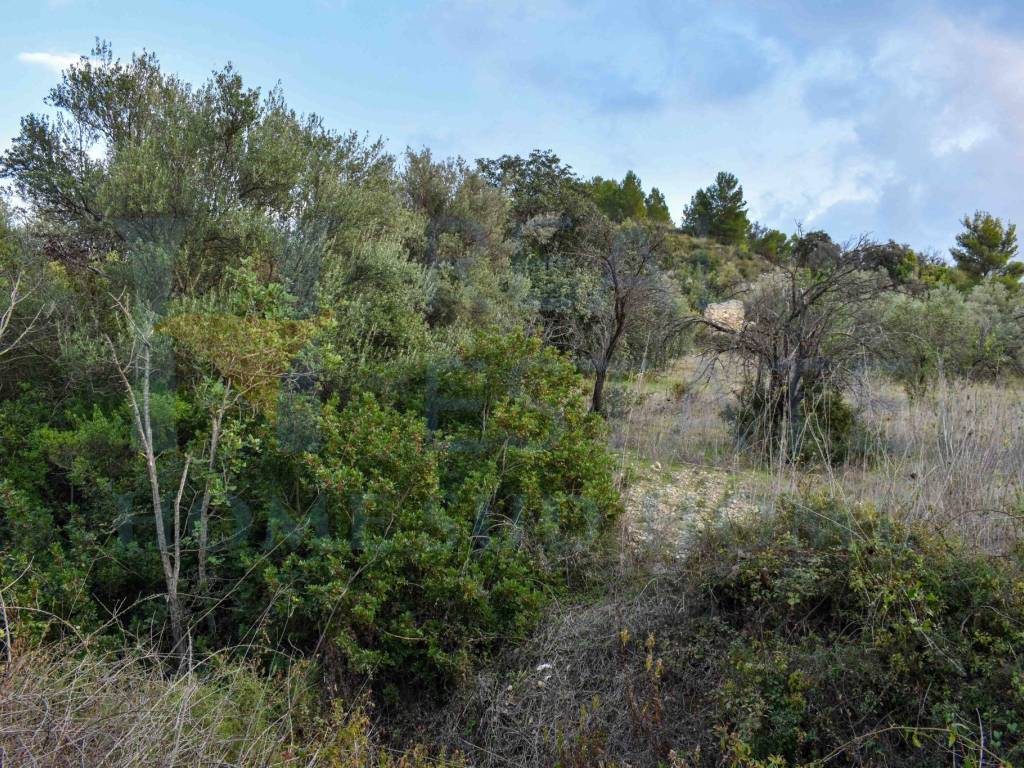 Rustico / casale a Noto in Via Tommaso Fazello, 228 - Foto 5