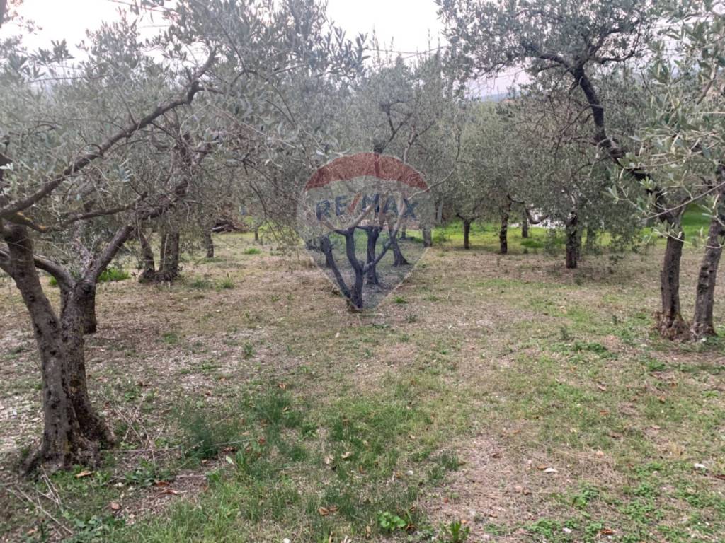 Terreno a Assisi - Foto 2