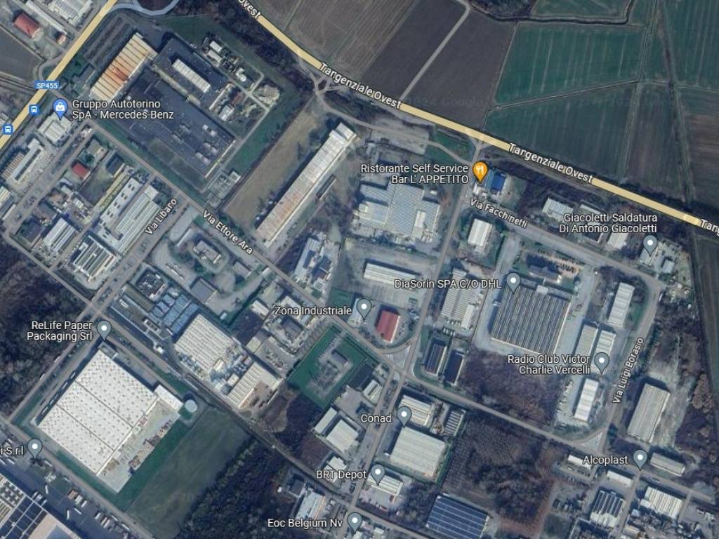 immagine di copertina