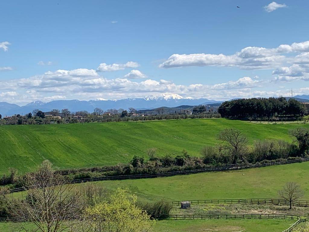 Rustico / casale a Amelia in Strada di Macchie - Foto 2