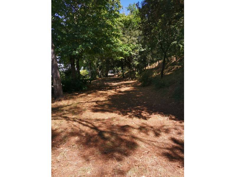 Rustico / casale a Montevarchi - Foto 5
