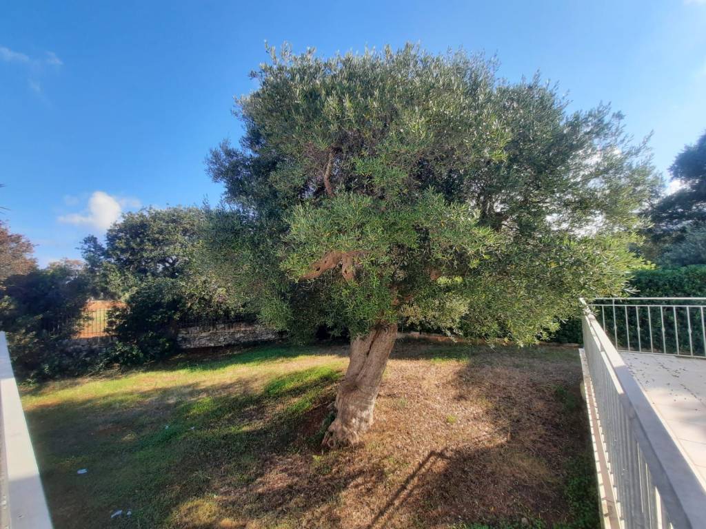 Villa a Ostuni - Foto 4