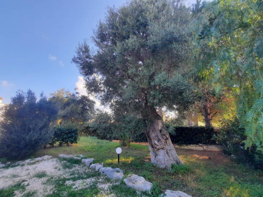 Villa a Ostuni - Foto 5