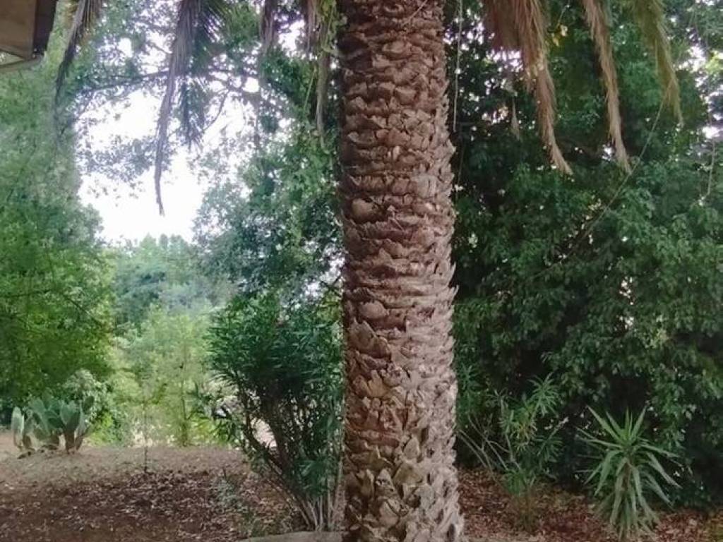 Villa a Piazza armerina in Via San Pietro S.N.C. - Foto 3