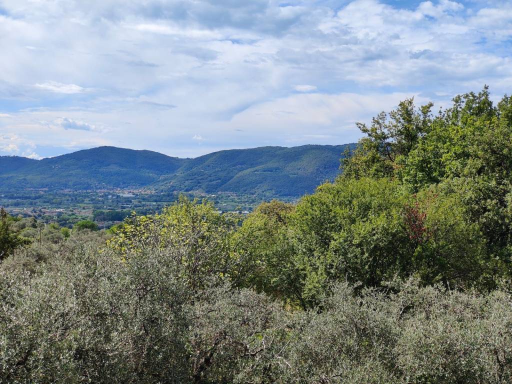 Villa a Sarzana in Via Panzarino - Foto 2