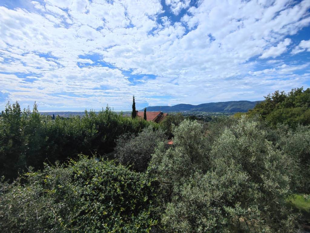 Villa a Sarzana in Via Panzarino - Foto 4