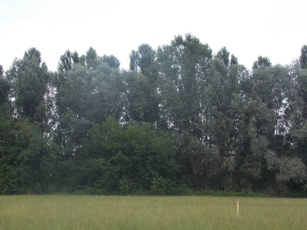 Terreno a Lodi in Via Monsignor Oscar Romero - Foto 4