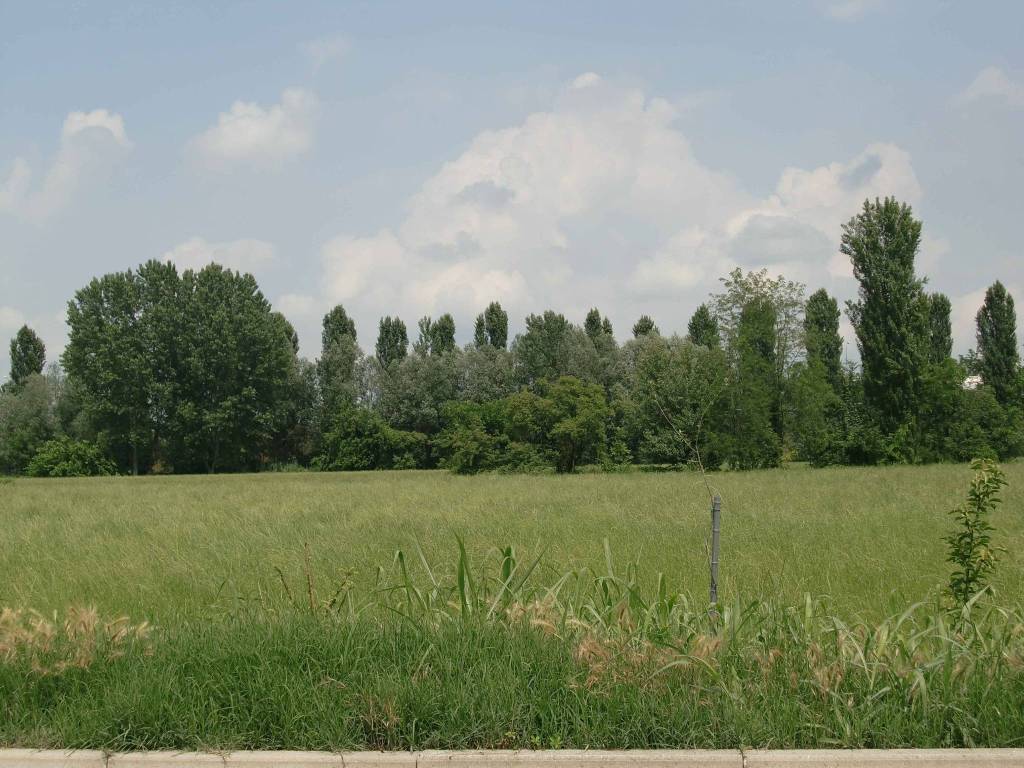 Terreno a Lodi in Via Monsignor Oscar Romero - Foto 5