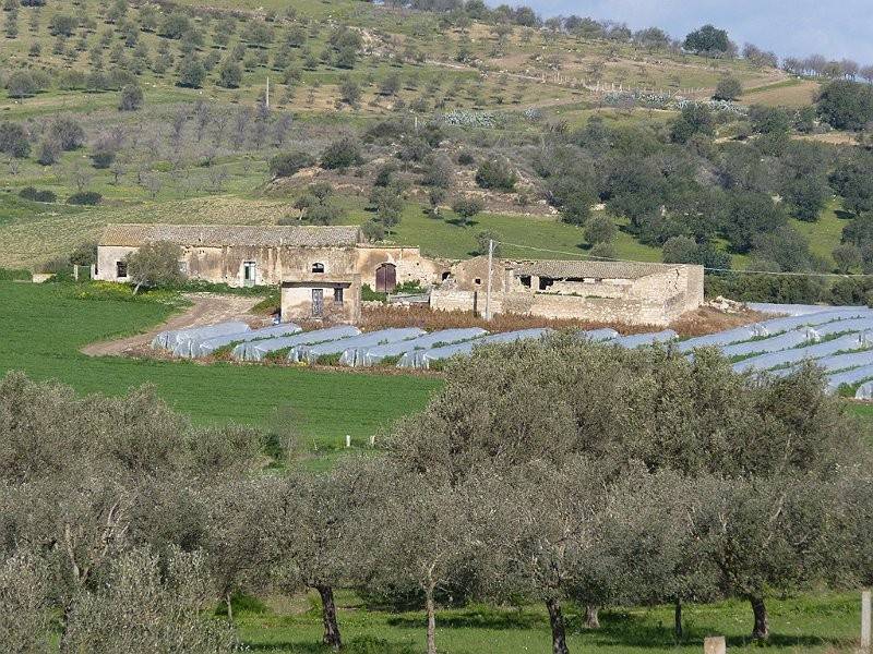Terreno a Noto in Strada Provinciale 11 - Foto 2