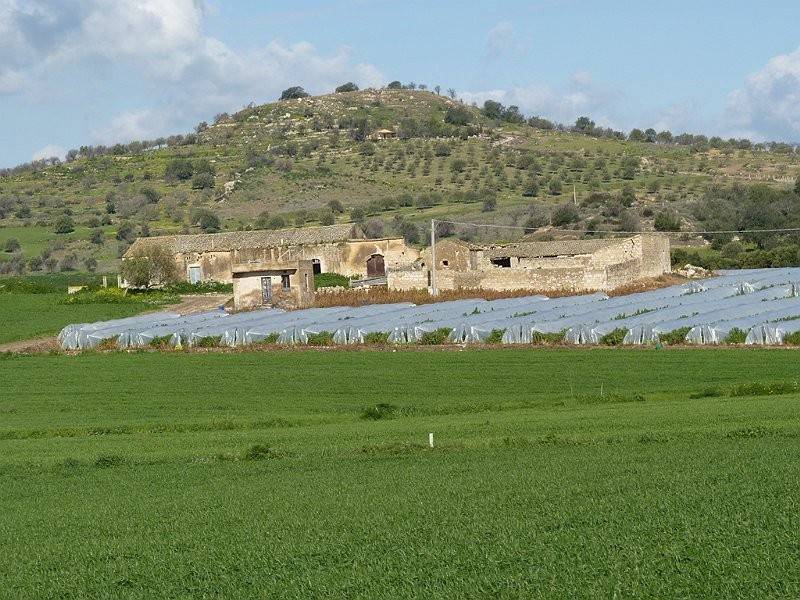Terreno a Noto in Strada Provinciale 11 - Foto 3