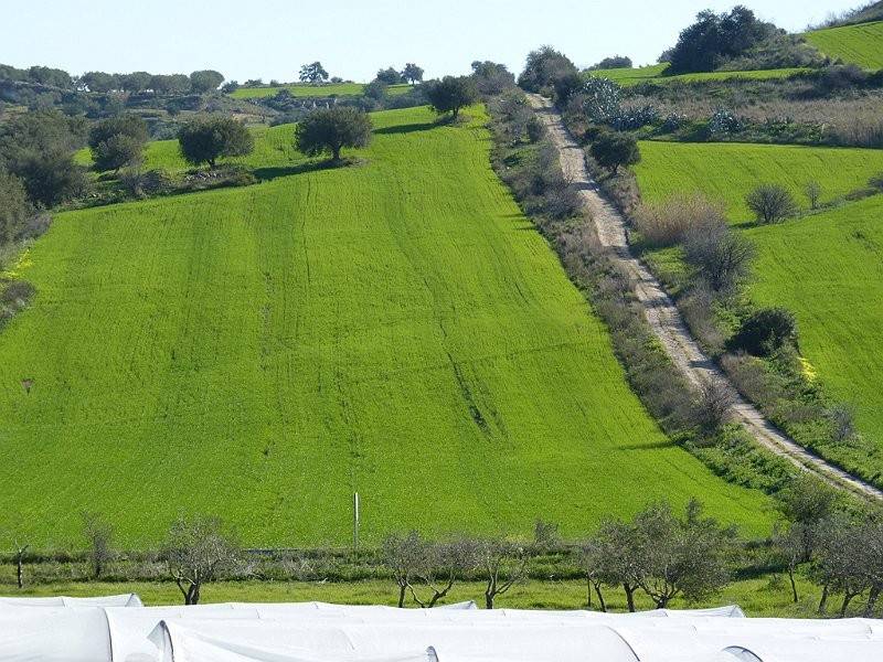 Terreno a Noto in Strada Provinciale 11 - Foto 4