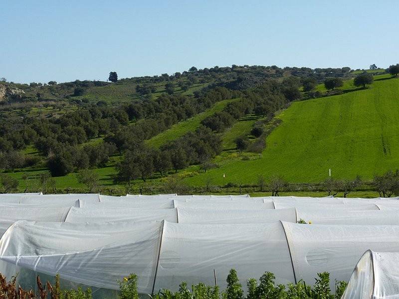 Terreno a Noto in Strada Provinciale 11 - Foto 5