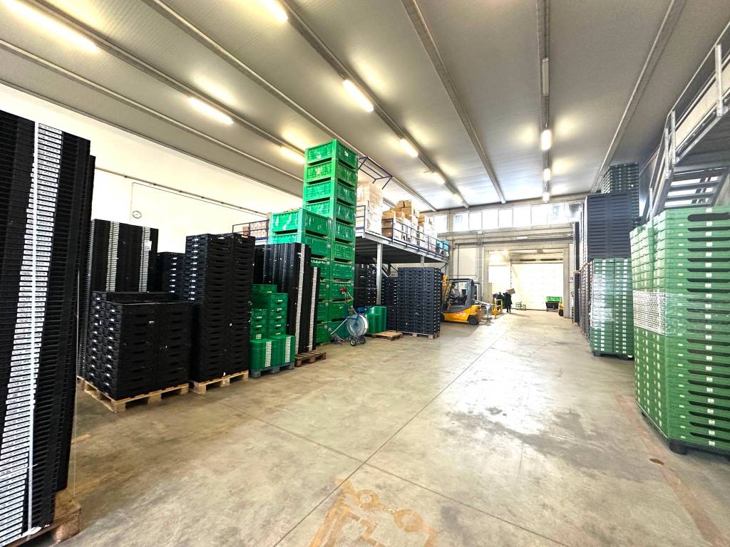 Immobile a Vigasio in Via dell'Industria - Foto 3