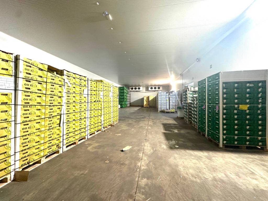 Immobile a Vigasio in Via dell'Industria - Foto 4