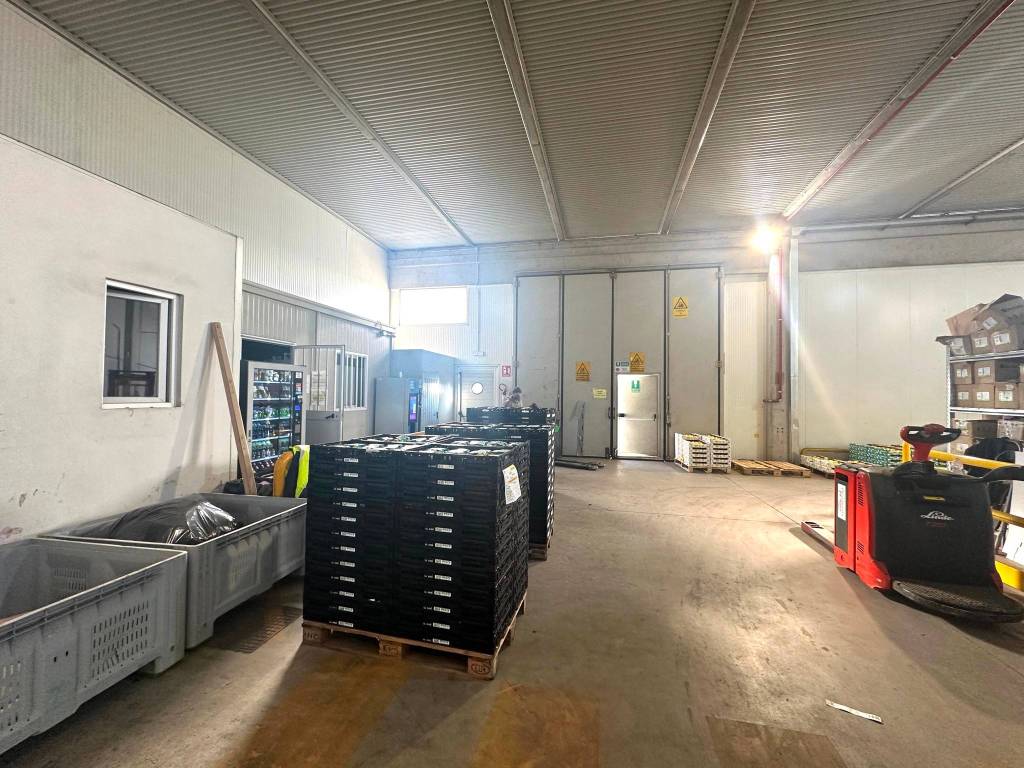 Immobile a Vigasio in Via dell'Industria - Foto 5