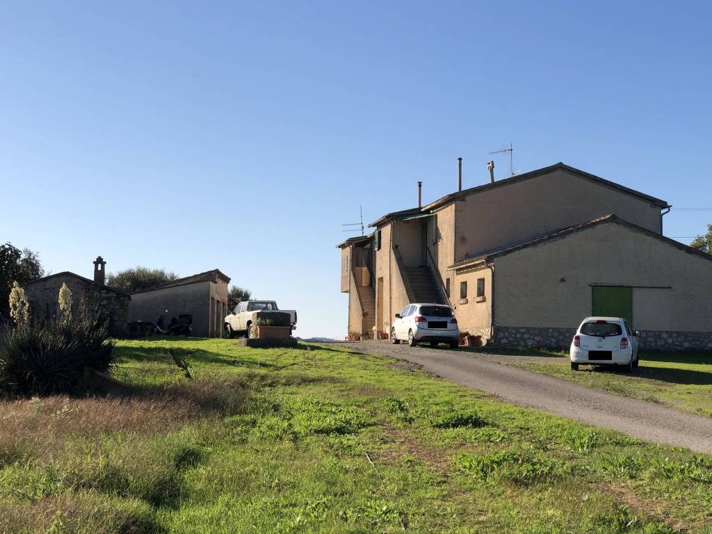 Rustico / casale a Campagnatico in Località Sant'Antonio - Foto 4