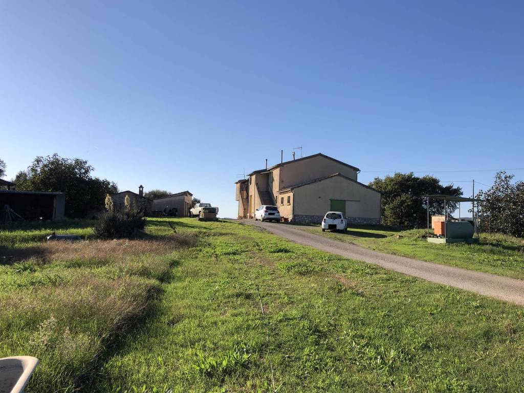 Rustico / casale a Campagnatico in Località Sant'Antonio - Foto 5