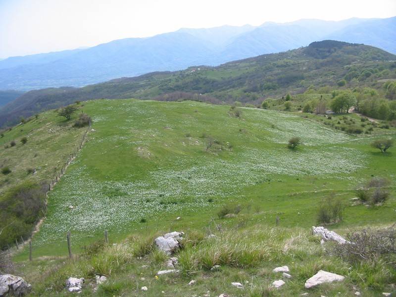 Rustico / casale a Sarzana in Via Nilo Garbusi Partigiano Med. d'Argento 1922 - 1944, 16 - Foto 4