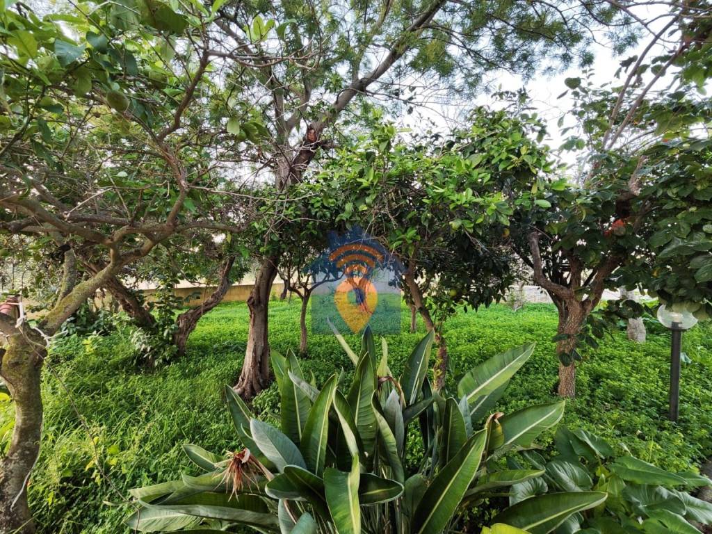 Villa a Castelvetrano in Contrada Mortilluzi - Foto 4