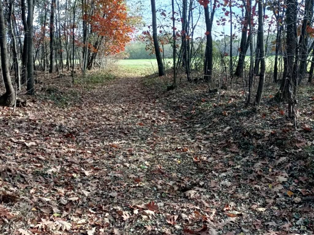 Terreno a Gorla maggiore in Via Sabotino - Foto 4