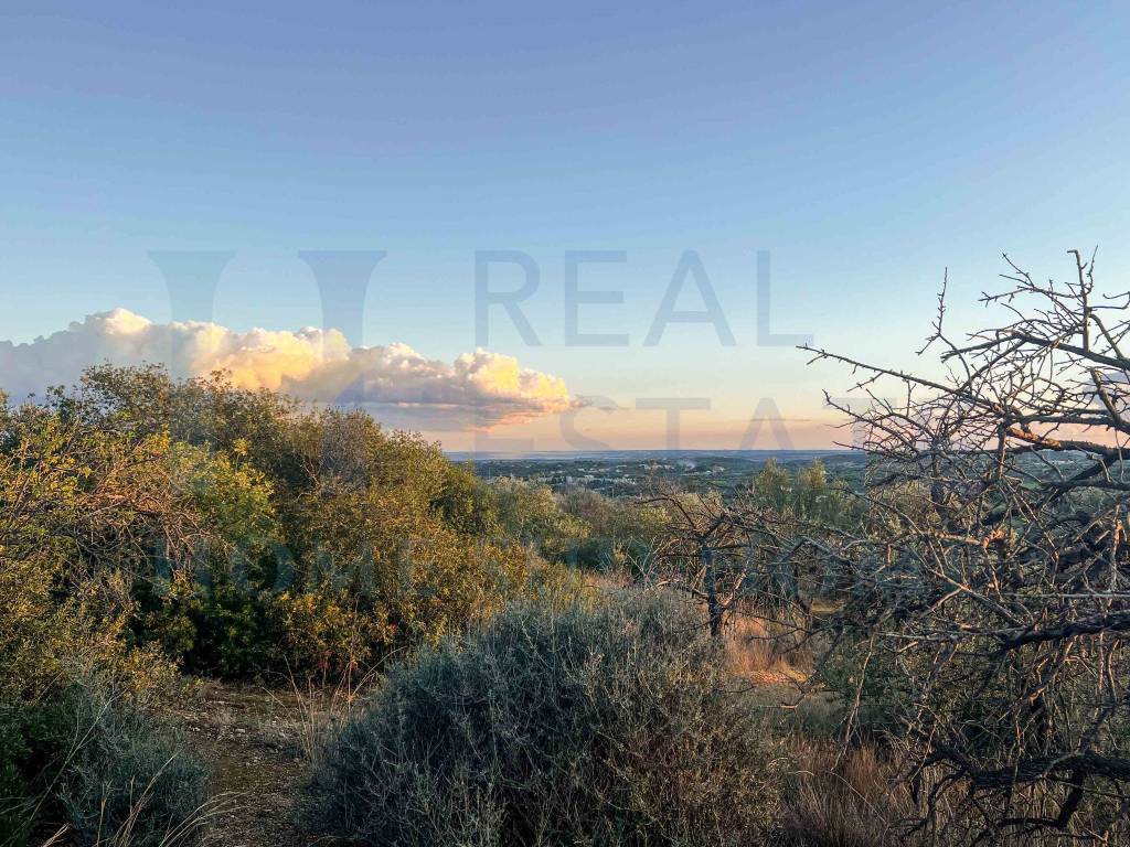 Terreno a Noto in Via Tommaso Fazello, 228 - Foto 2