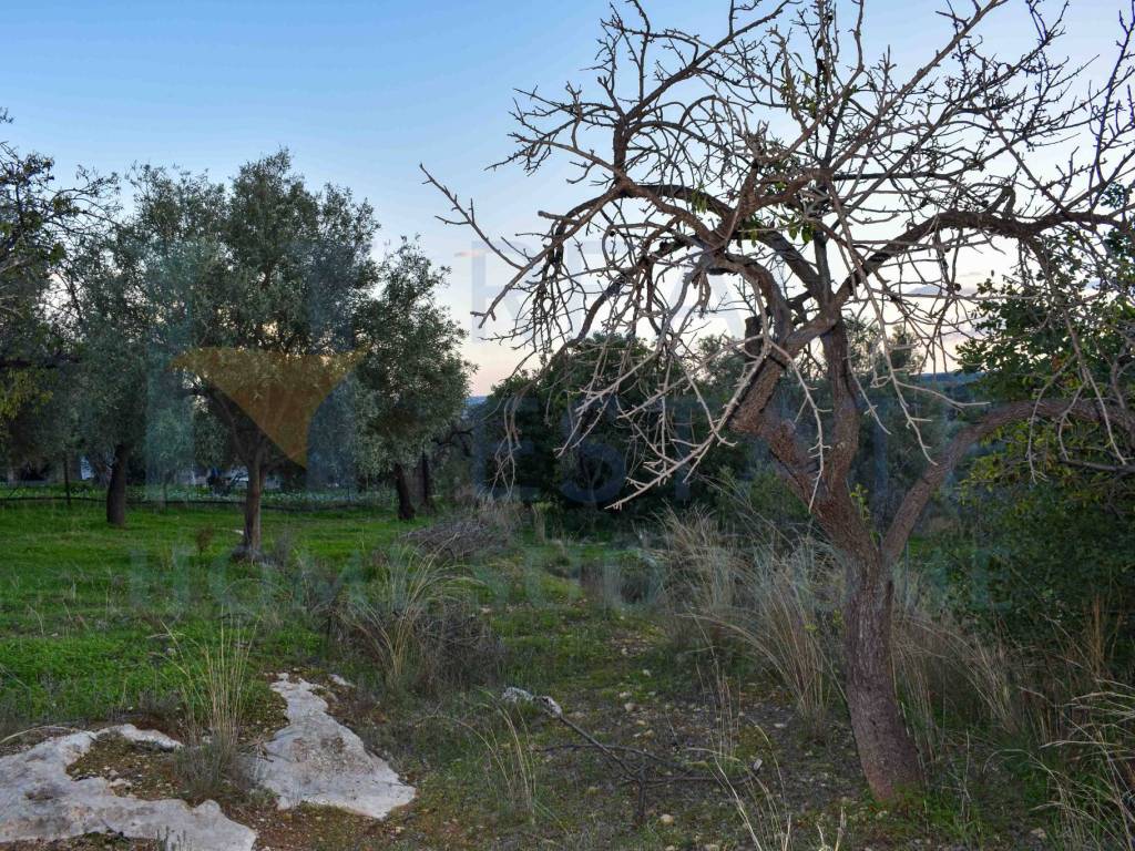 Terreno a Noto in Via Tommaso Fazello, 228 - Foto 4