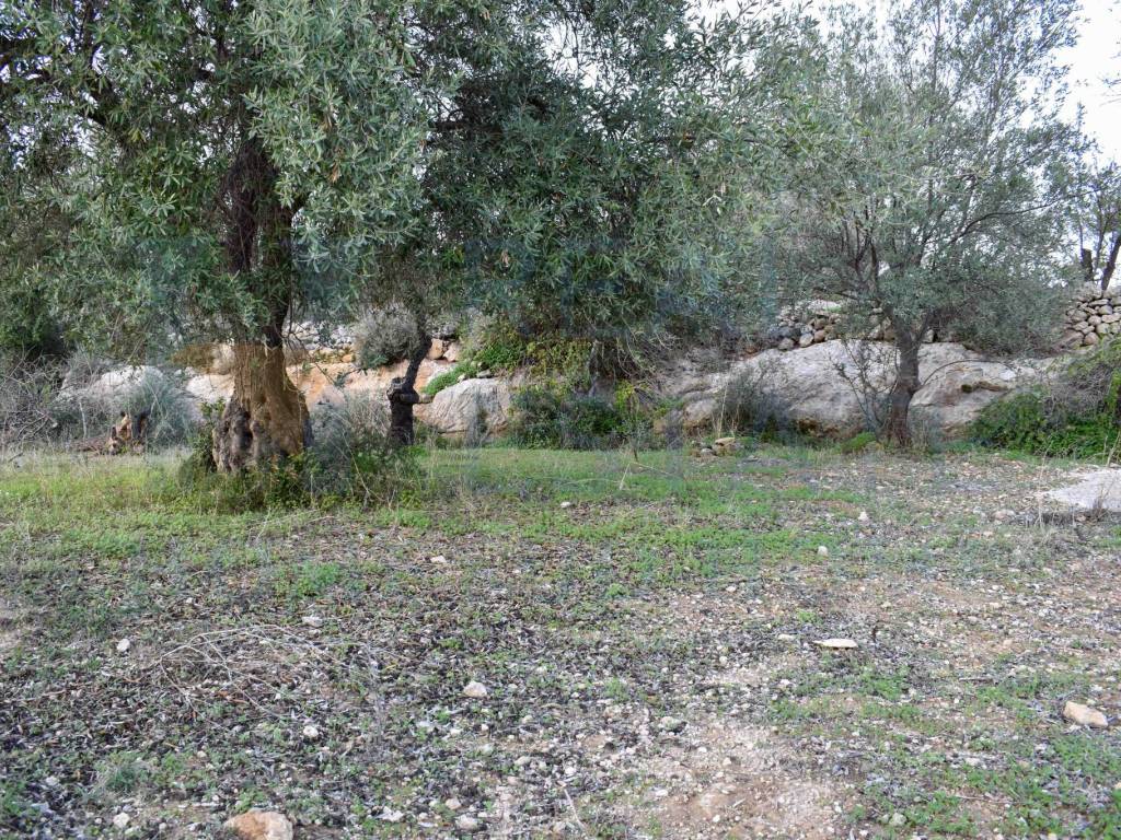 Terreno a Noto in Via Tommaso Fazello, 228 - Foto 5