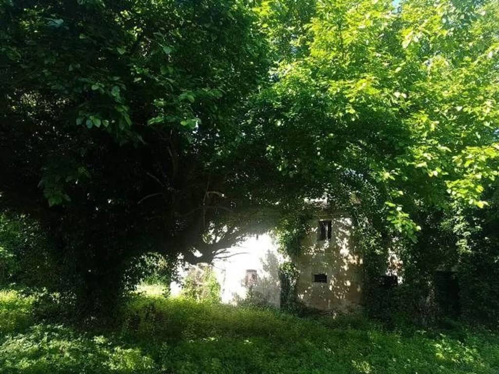 Rustico / casale a Castelfidardo in Via Che Guevara S.N.C. - Foto 2