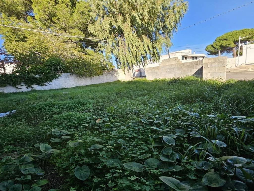 Rustico / casale a Ugento in San Giacomo, - Foto 2