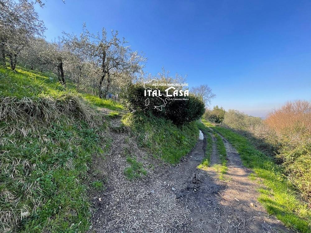 Terreno a Monsummano terme - Foto 4