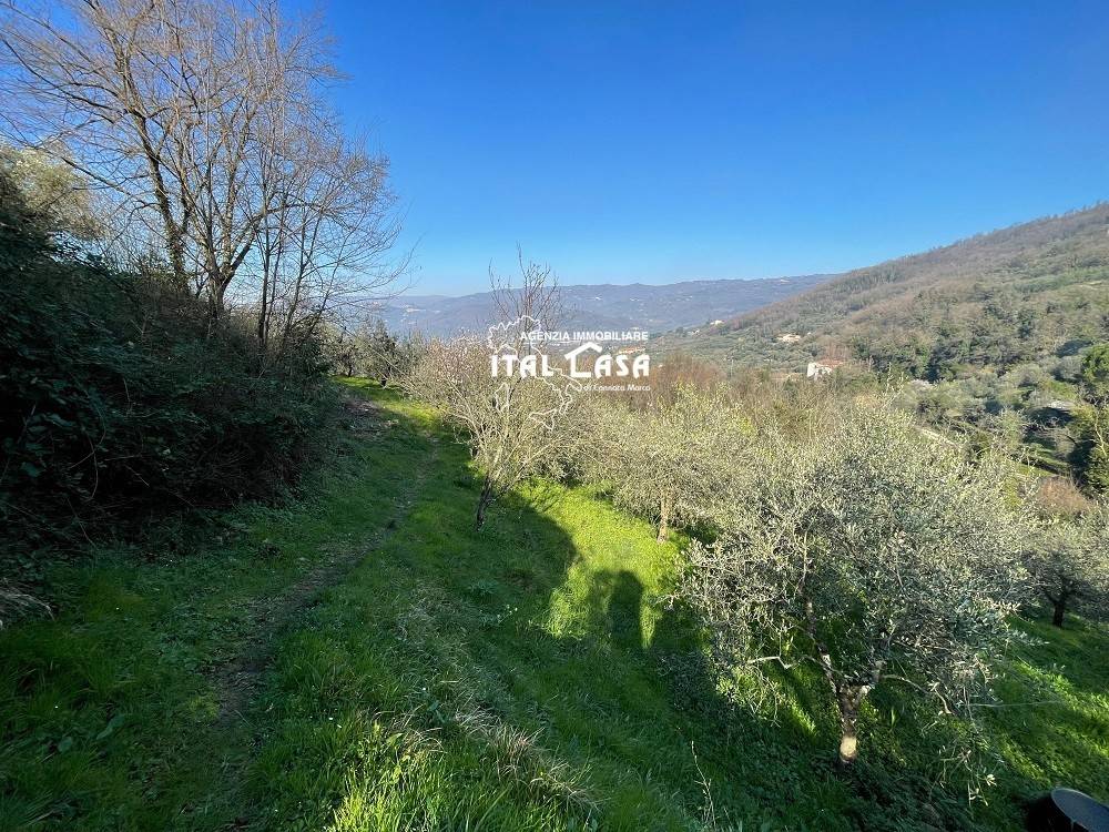 Terreno a Monsummano terme - Foto 5