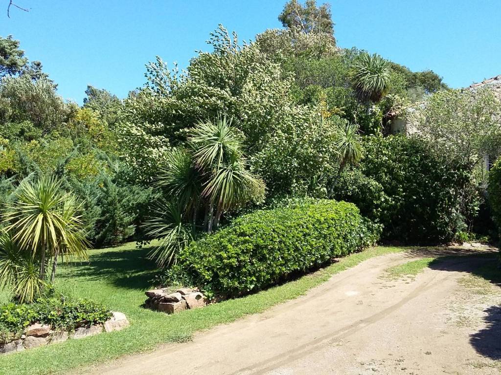 Rustico / casale a Arzachena in Strada Statale Orientale Sarda - Foto 5