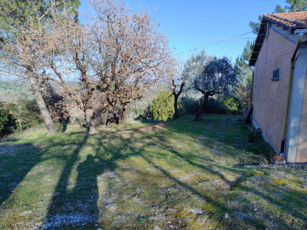 Terreno a Piegaro in Strada Provinciale di Spina III Tratto - Foto 3