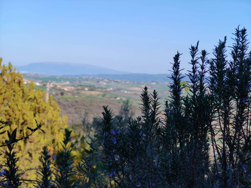 Terreno a Piegaro in Strada Provinciale di Spina III Tratto - Foto 4