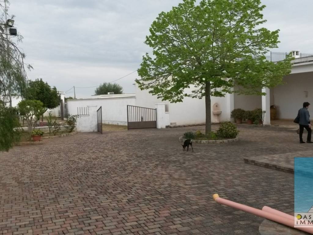 Rustico / casale a Francavilla fontana in provinciale per Francavilla Fontana - Foto 3