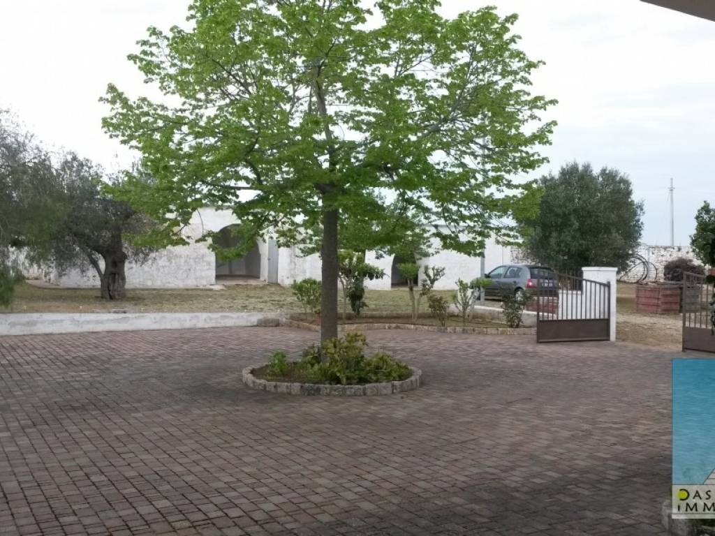 Rustico / casale a Francavilla fontana in provinciale per Francavilla Fontana - Foto 4
