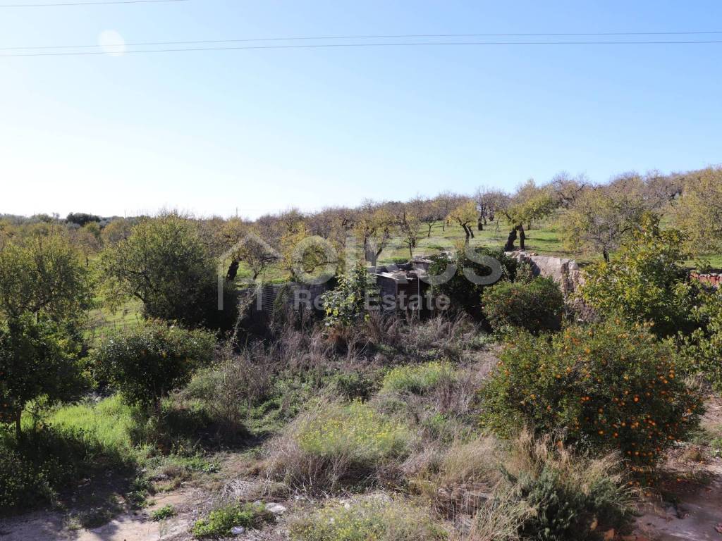 Rustico / casale a Noto in C.da San Andrea - Foto 5