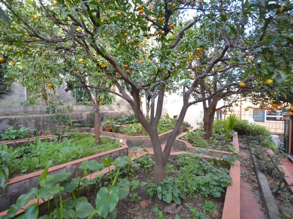 Appartamento a Portoferraio in Via Francesco Domenico Guerrazzi - Foto 5