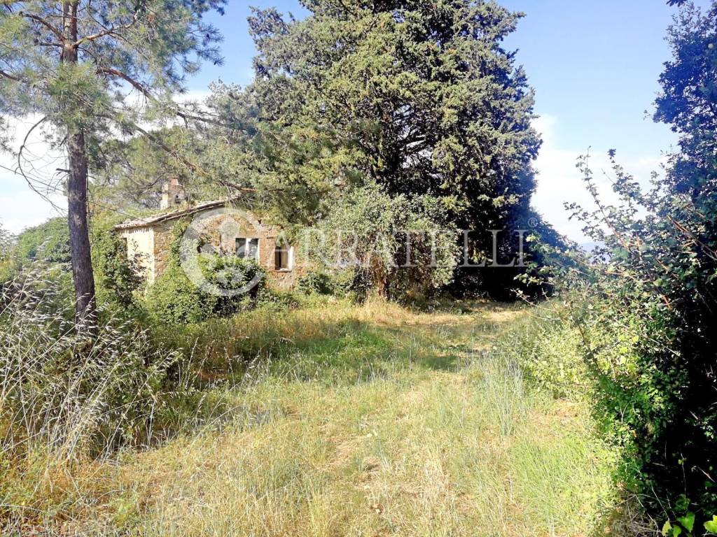Rustico / casale a San casciano dei bagni in Via Provinciale San Casciano dei Bagni (SI), 187 - Foto 2