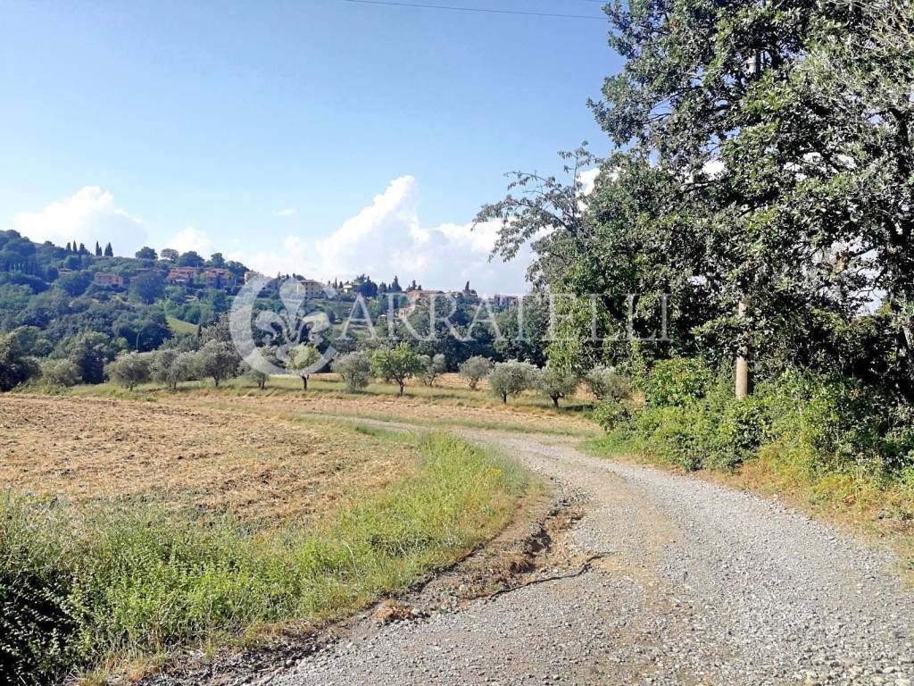 Rustico / casale a San casciano dei bagni in Via Provinciale San Casciano dei Bagni (SI), 187 - Foto 3