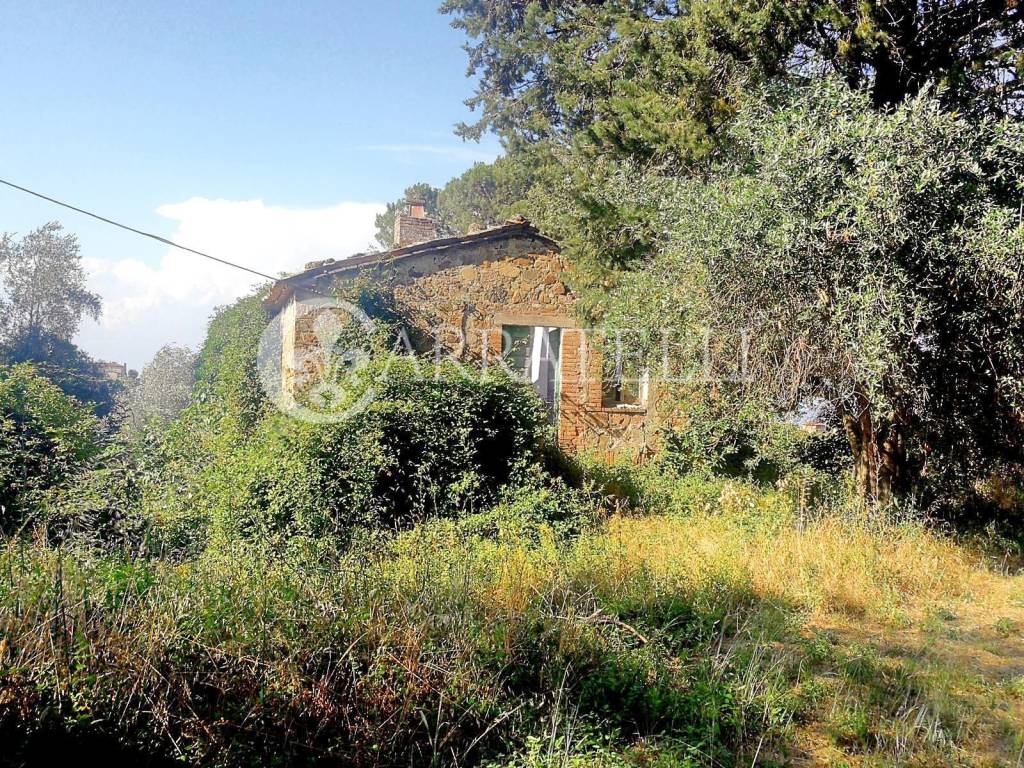 Rustico / casale a San casciano dei bagni in Via Provinciale San Casciano dei Bagni (SI), 187 - Foto 4