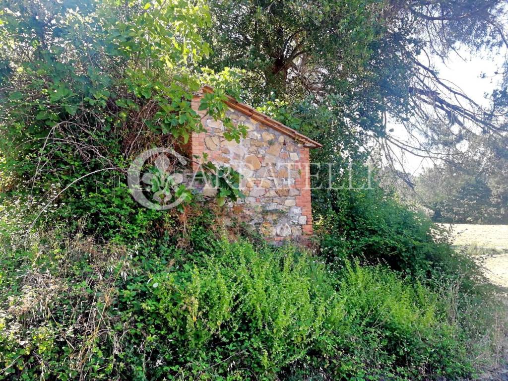 Rustico / casale a San casciano dei bagni in Via Provinciale San Casciano dei Bagni (SI), 187 - Foto 5