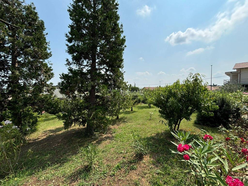 Casa indipendente a Casale monferrato in Via U. I. Tarchetti - Foto 5