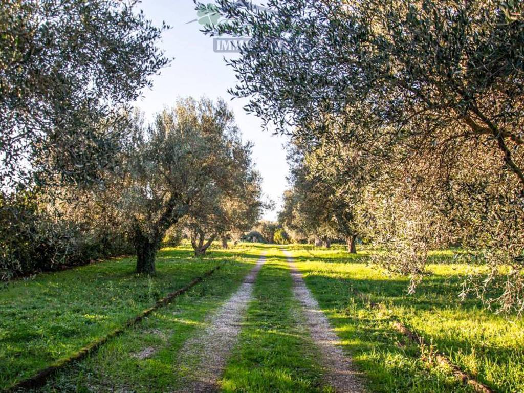 Villa a Montalto di castro in Località Belvedere - Foto 2