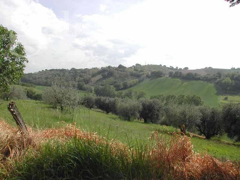 Rustico / casale a Senigallia in ARCEVIESE, 121 - Foto 3