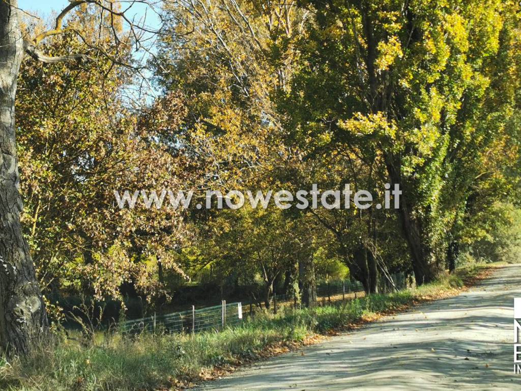 Rustico / casale a Anghiari in Strada Comunale del Vaio - Foto 2